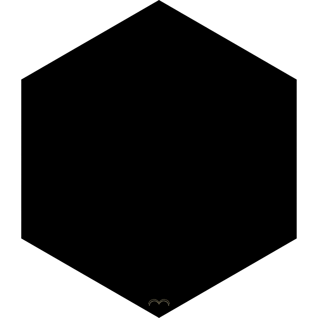 Black Hole