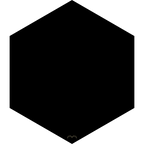 Black Hole