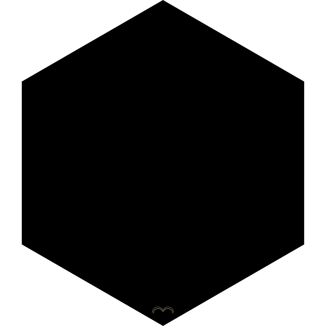 Black Hole