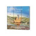 The Pleasure Treasure